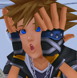sora